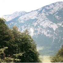 KrançkaGora1996-64