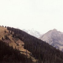 GA1998-0004