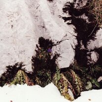 GA1998-0015