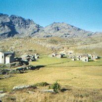 photo8