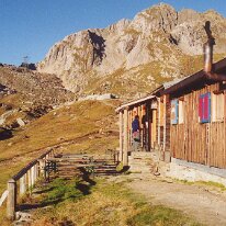 0401-capcris